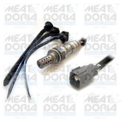 Oxygen Sensor